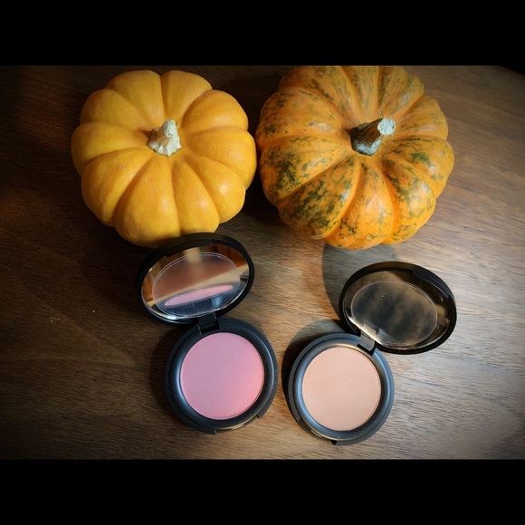 Lipgloss/E-Cleaner/blushes/primer/set of brushes
